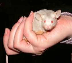 [Mazy in Sabrinas Hand]